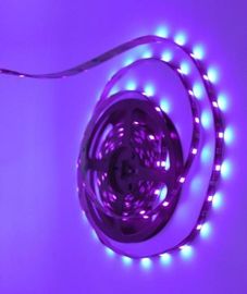 Гибкий стерилизуя освещая переходника w пурпура 24 наборов SMD 5050 света прокладки СИД